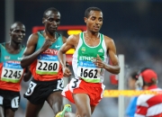 包含震撼！基普乔格在足球赛场逆转获胜！的词条