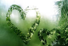 里昂主场胜南特，实力碾压获得三分稳定排名的简单介绍